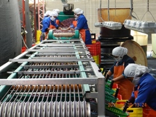 delices de la foret valli perou 06 delices de la foret valli perou 06