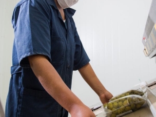 delices de la foret valli perou 08 delices de la foret valli perou 08