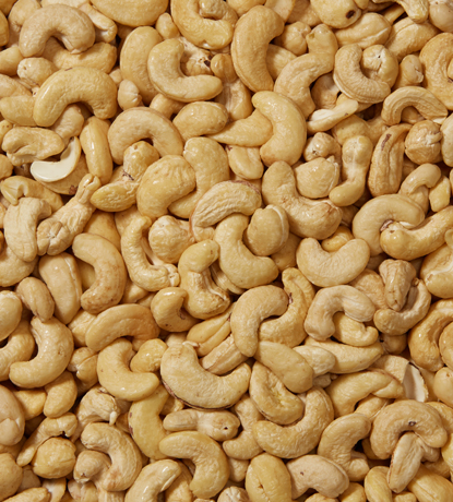 noix de cajou entiers jumbo crus 210 ( lw1)