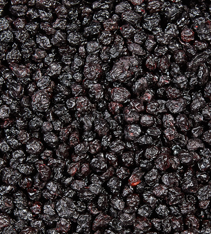 bleuets séchés et cultivés