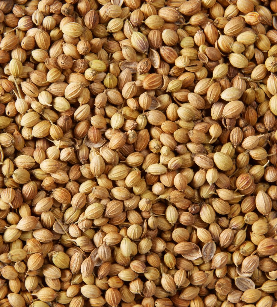 graines de coriandre entières