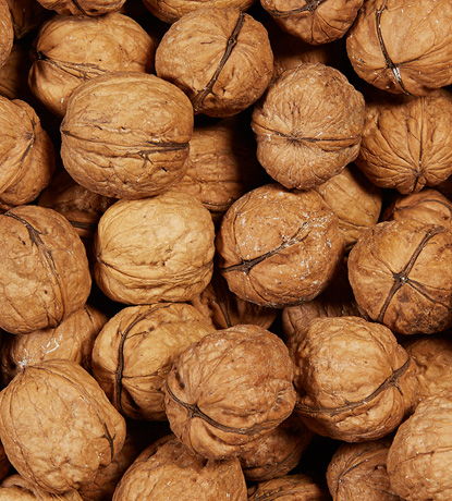 grenoble en écales naturelles jumbo