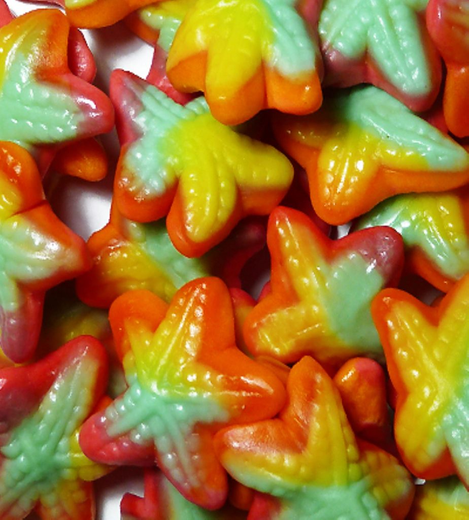 gummies étoiles de mer (quérico)