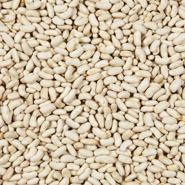 fèves blanches navy