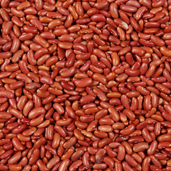 fèves rognon rouge clair