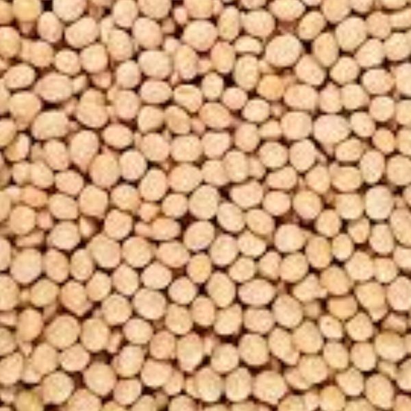 fèves de soya