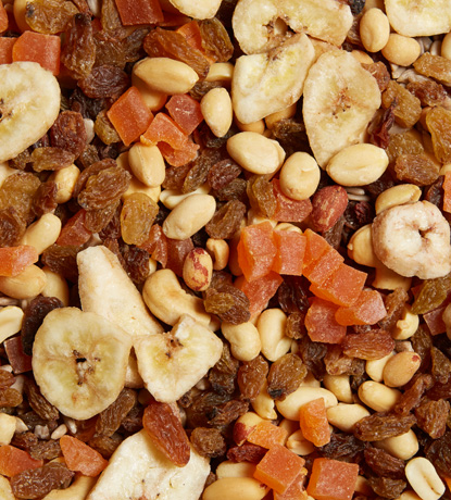 mélange de la forêt