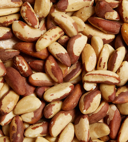 noix du brésil entières crues