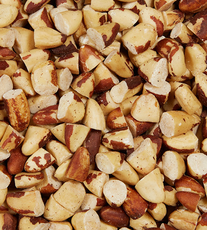 noix du brésil brisées crues