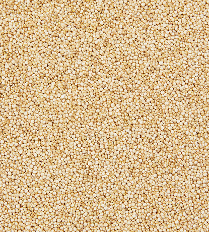 graines de quinoa blanc