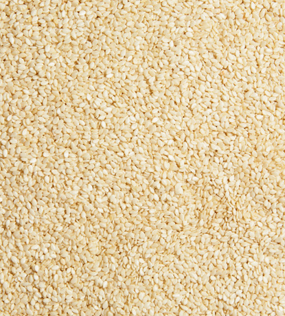 graines de sésame blanches