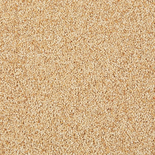 graines de sésame naturel biologiques