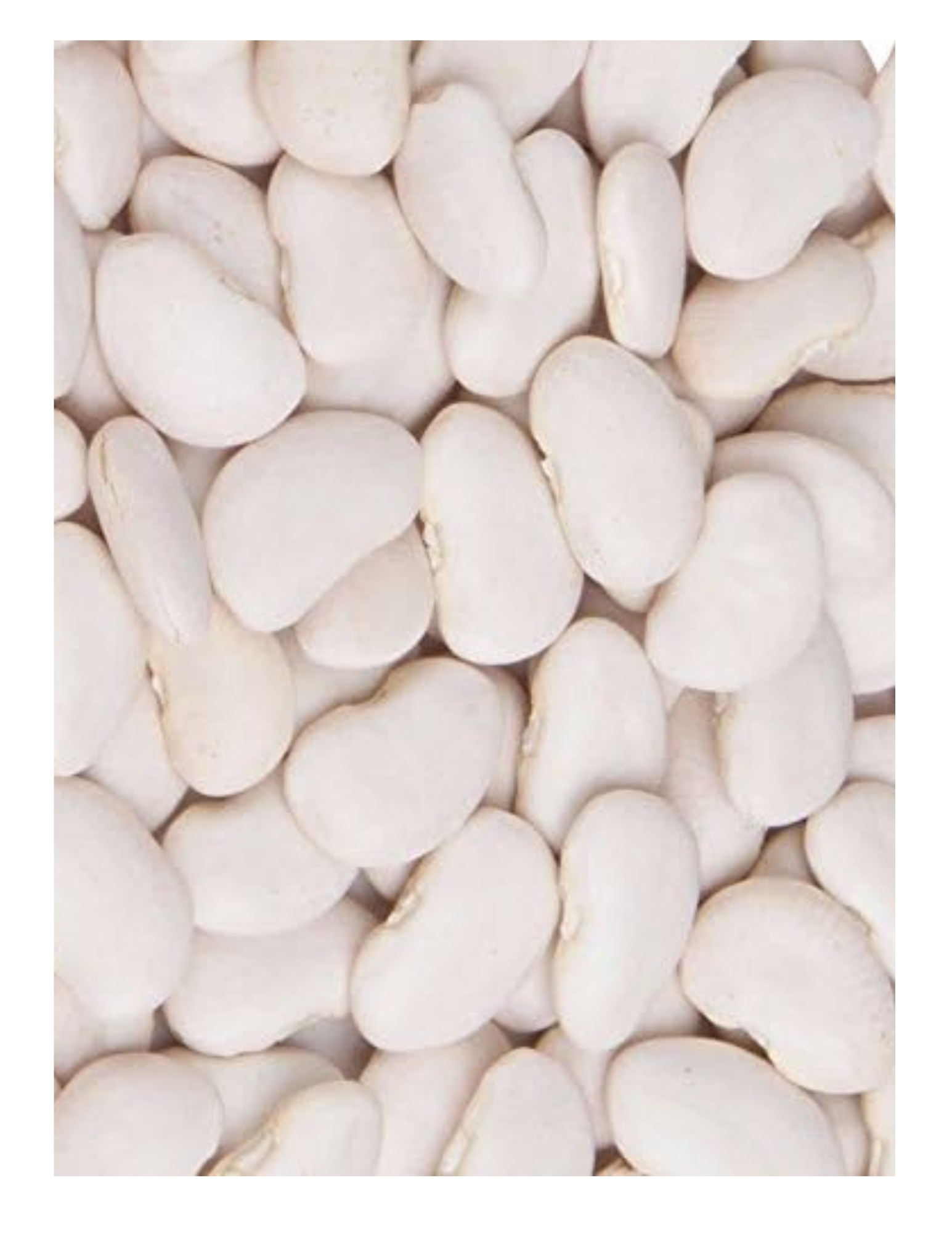 haricots lima jumbo (aliments merci) papier
