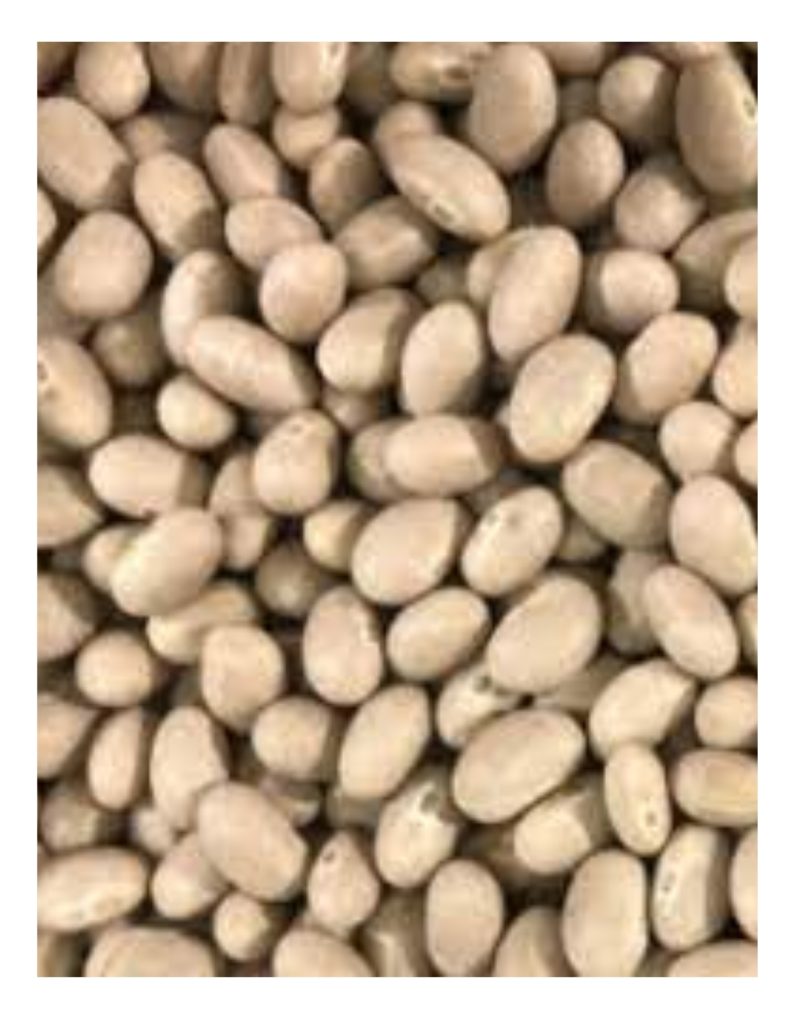 haricots navy (aliments merci) papier