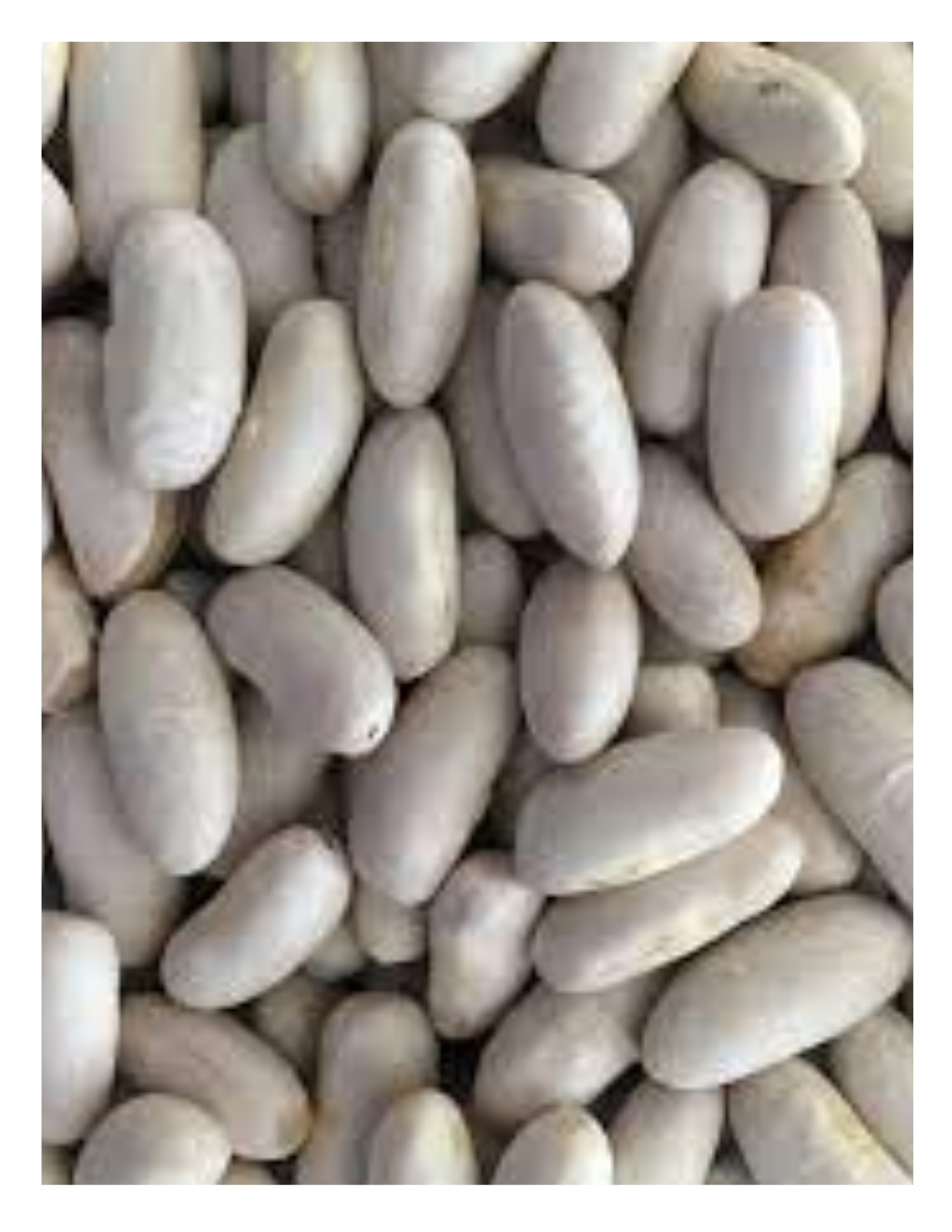 Haricots Navy Biologiques (Aliments Merci) PAPIER