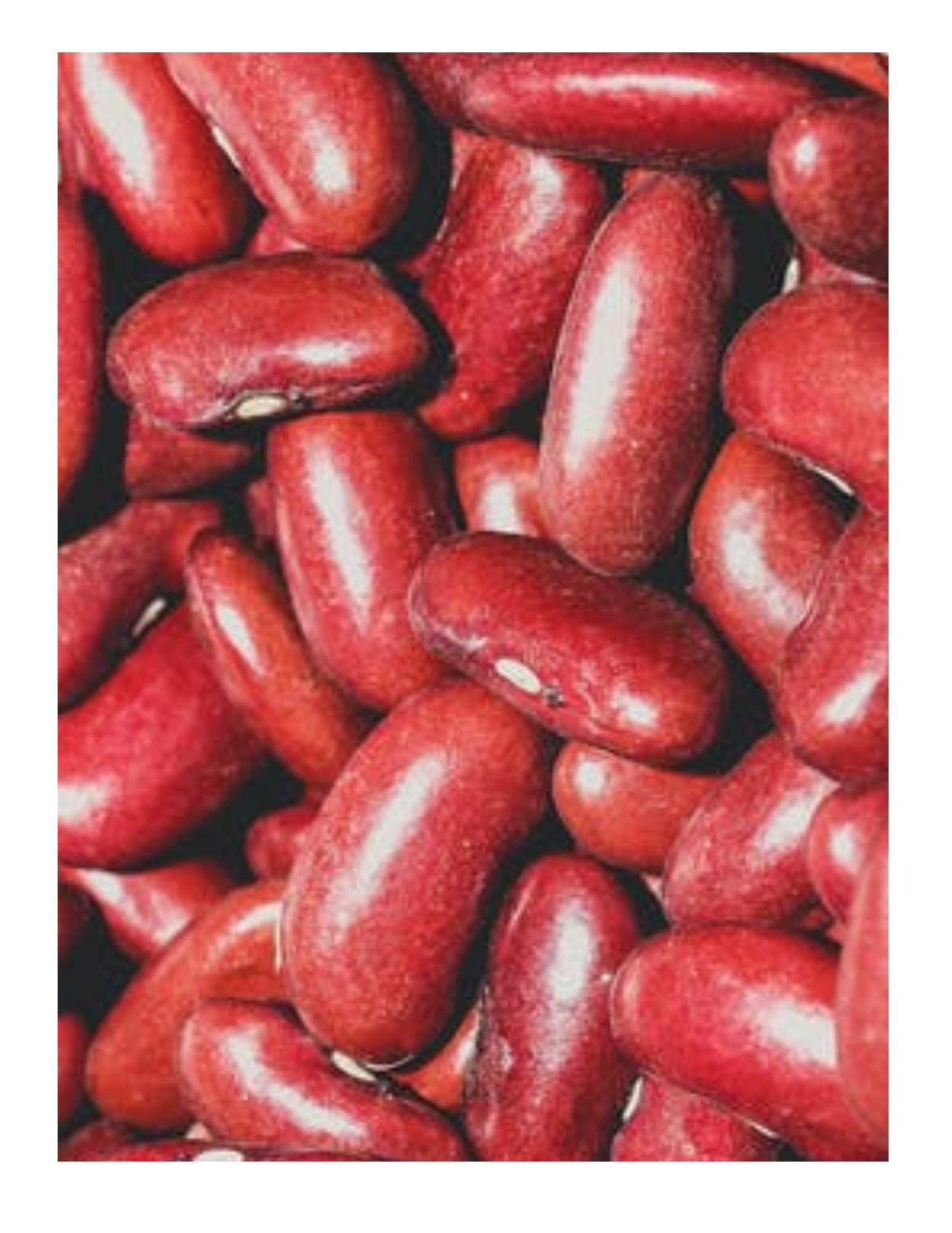 haricots rognons rouges biologiques (aliments merci) papier