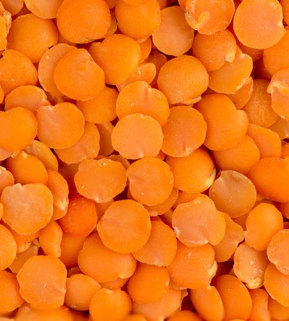 lentilles rouges split biologiques