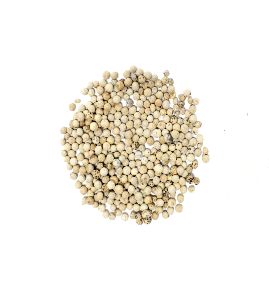 poivre blanc entier biologique