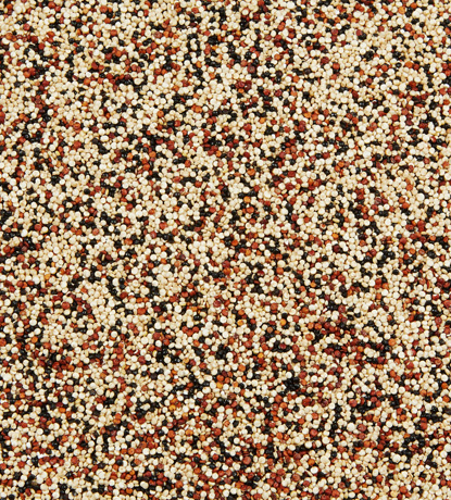 quinoa mix 3 couleurs bio (blanc ,rouge et noir)