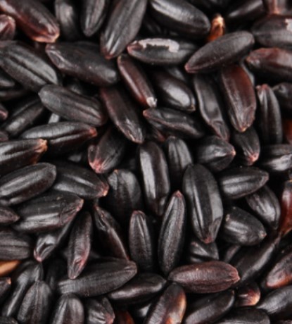 riz noir de l'empereur biologique