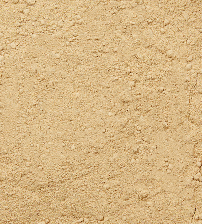 gingembre moulu biologique