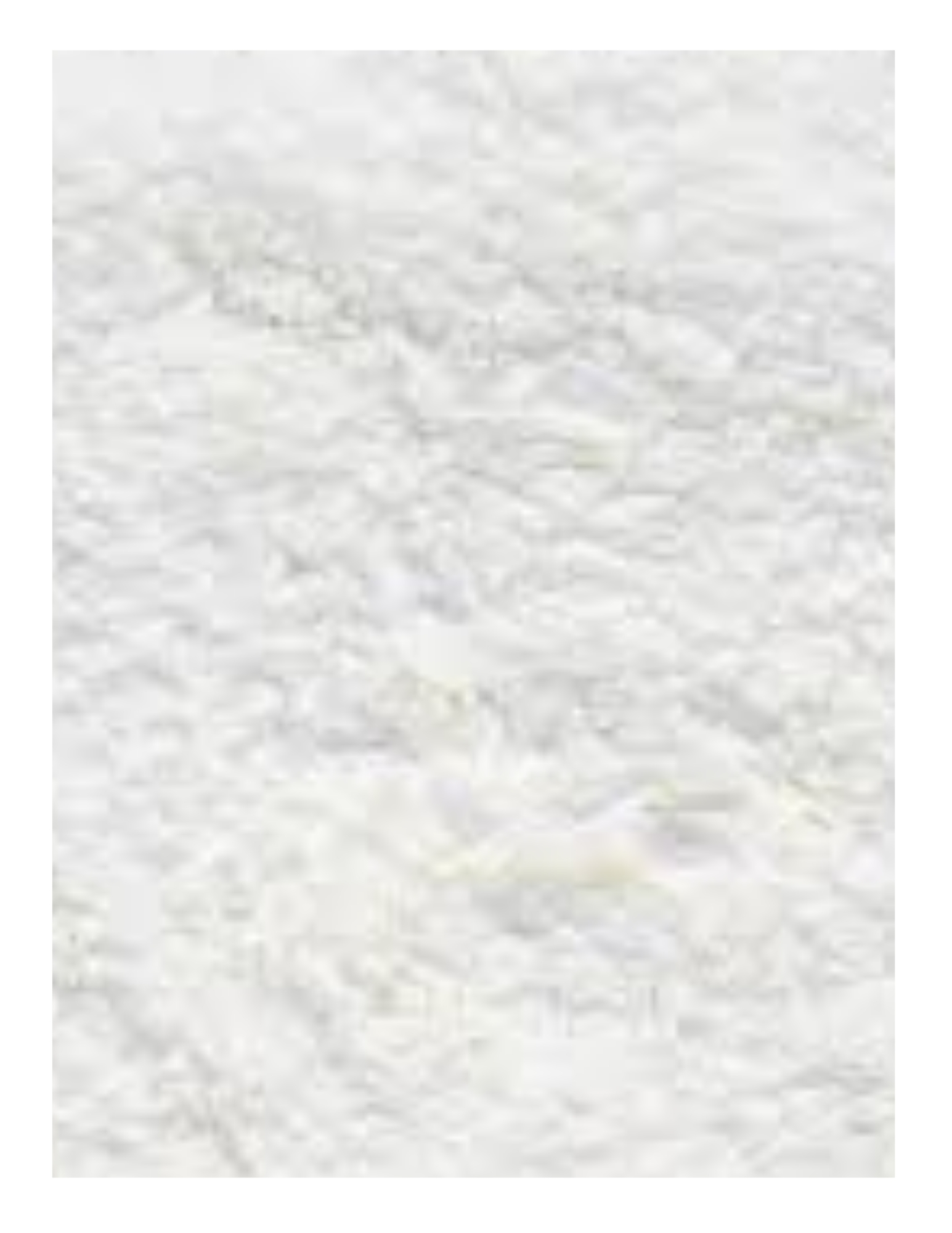fécule de tapioca (dyn)