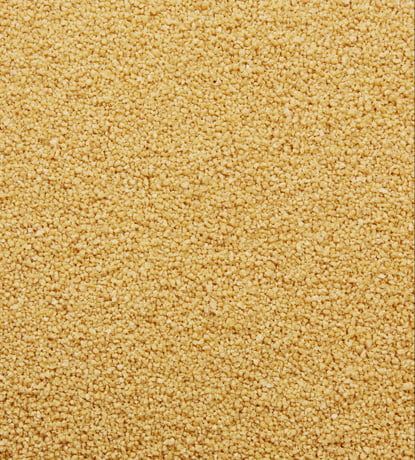 couscous blé entier biologique